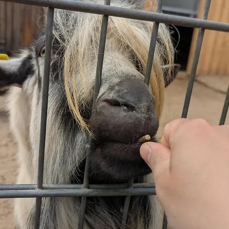 아파트 Tourenblick - An Den Drei Kaiserbergen *