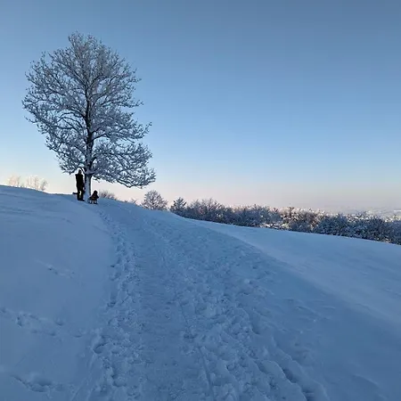 아파트 Tourenblick - An Den Drei Kaiserbergen 발드스테튼