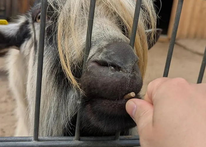 Apartamento Tourenblick - An Den Drei Kaiserbergen *